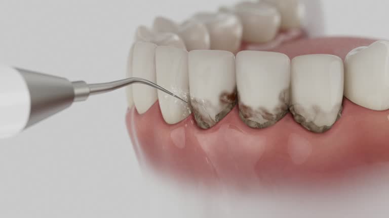 Reliable Dental contractor in Bohners Lake, WI by Dentist Open Now